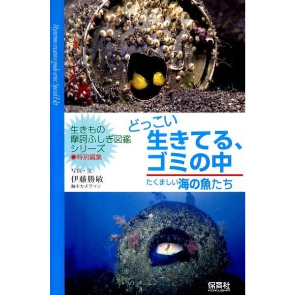 どっこい生きてる、ゴミの中－たくましい海の魚たち（「生きもの摩訶ふしぎ図鑑」シリーズ） [単行本]