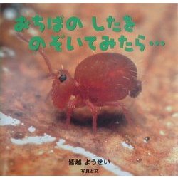 おちばのしたをのぞいてみたら…(はっけんたんけんえほん〈2〉) [絵本]