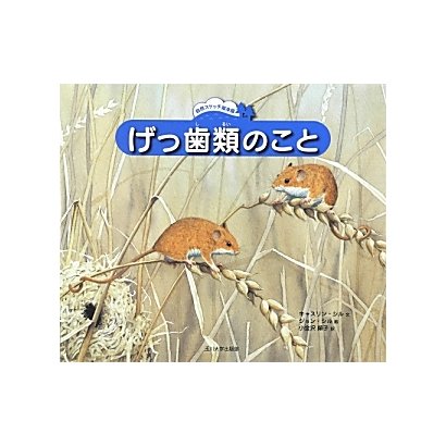 げっ歯類のこと(自然スケッチ絵本館) [絵本]
