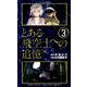 とある飛空士への追憶 3（ゲッサン少年サンデーコミックス） [コミック]
