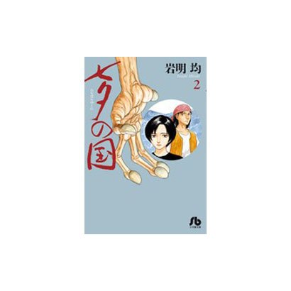 七夕の国<２>(コミック文庫（青年）) [文庫]