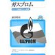 ガスプロム―ロシア資源外交の背景(ユーラシア・ブックレット〈No.111〉) [全集叢書]
