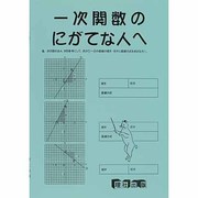 新一次関数 [全集叢書]