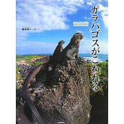 ガラパゴスがこわれる [単行本]