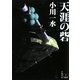 天涯の砦(ハヤカワ文庫JA) [文庫]