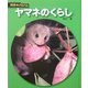 ヤマネのくらし(科学のアルバム〈98〉) [全集叢書]