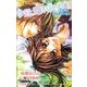 今日、恋をはじめます 運命は君の手の中に－小説オリジナルストーリー(FCルルルnovels) [コミック]