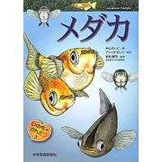 メダカ(いのちのかんさつ〈3〉) [全集叢書]