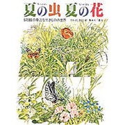 夏の虫 夏の花―645種の身近な生きものの世界 [絵本]