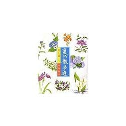 花を描こう 夏の散歩道 [単行本]
