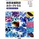 体腔液細胞診カラーアトラス―診断へのアプローチ [単行本]