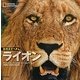 ナショナルジオグラフィック動物大せっきん ライオン [図鑑]