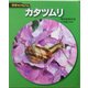 カタツムリ 新装版 (科学のアルバム) [全集叢書]