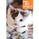 作家と猫のものがたり(とんぼの本) [全集叢書]
