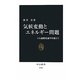 気候変動とエネルギー問題―CO2温暖化論争を超えて(中公新書) [新書]