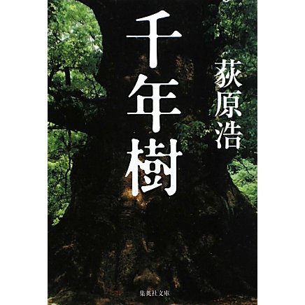 千年樹(集英社文庫) [文庫]