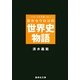 シミズ式 目からウロコの世界史物語(集英社文庫) [文庫]