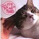耳かき猫 [単行本]