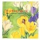 『チッチのひみつ』―叙情まんが『小さな恋のものがたり』の主人公チッチとともに [単行本]