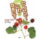 せんせい!これなあに?〈3〉木の実・草の実(なまえしらべずかん) [図鑑]