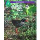 森の写真動物記〈4〉亜熱帯の森 [全集叢書]