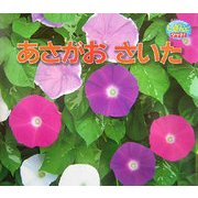 あさがおさいた(しぜんにタッチ!) [絵本]