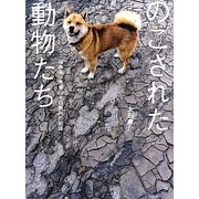のこされた動物たち―福島第一原発20キロ圏内の記録 [単行本]