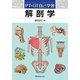 PT・OT自己学習 解剖学 [全集叢書]