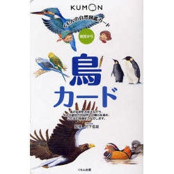 くもんの自然図鑑カード　鳥カード－幼児から(カードシリーズ　知識編) [単行本]