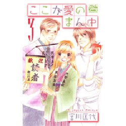 ここが愛のまん中 3（白泉社レディースコミックス） [コミック]