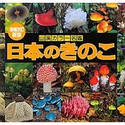 日本のきのこ 増補改訂新版 (山溪カラー名鑑) [図鑑]