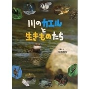 川のカエルと生きものたち [絵本]