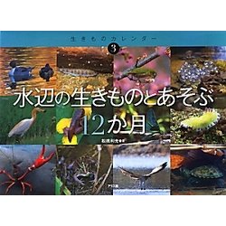 水辺の生きものとあそぶ12か月(生きものカレンダー〈3〉) [絵本]