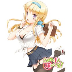 この中に1人、妹がいる! Vol.4 [DVD]