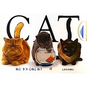 CAT ねこネコこねこね!―しかけえほん [絵本]
