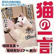猫の一言 [単行本]