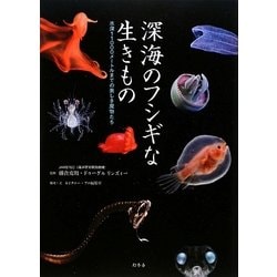 深海のフシギな生きもの―水深11000メートルまでの美しき魔物たち [単行本]