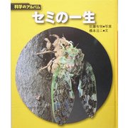 セミの一生 新装版 (科学のアルバム) [全集叢書]