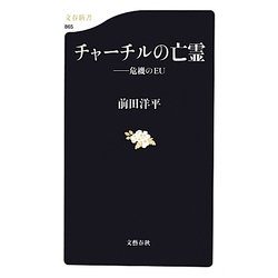 チャーチルの亡霊―危機のEU(文春新書) [新書]
