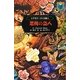 デモナータ〈2幕〉悪魔の盗人(小学館ファンタジー文庫) [文庫]