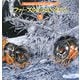 ファーブル昆虫記の虫たち〈5〉(Kumada Chikabo's World) [絵本]