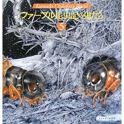 ファーブル昆虫記の虫たち〈5〉(Kumada Chikabo's World) [絵本]