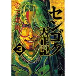 センゴク天正記（3）(ヤンマガKCスペシャル) [コミック]