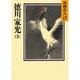 徳川家光〈3〉(山岡荘八歴史文庫〈67〉) [文庫]