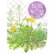 校庭のざっ草 [絵本]