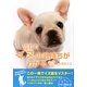 これでイヌの気持ちがわかる71の大切なこと [文庫]