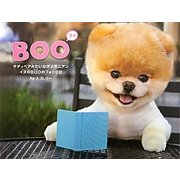 BOO―テディベアみたいなポメラニアンイヌのBOOのフォト日記 [単行本]