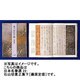石山切貫之集下 藤原定信筆(日本名筆選〈22〉) [全集叢書]