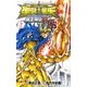 聖闘士星矢THE LOST CANVAS冥王神話外伝 2（少年チャンピオン・コミックス） [コミック]