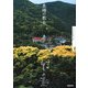 長崎の教会(NHK美の壺) [全集叢書]